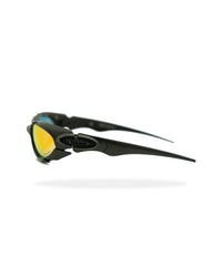 OAKLEY SUNGLASSES 041